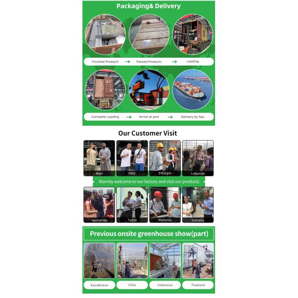 Baolida 6x12m Gothic Tunnel Greenhouse with 8mm PC Board Cover