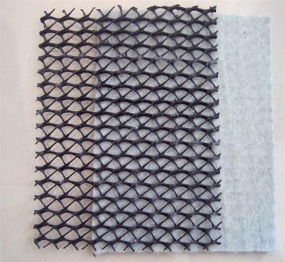 2m Widh Black Geonet Geotextile , Lightweight Geonet Drainage For Sports Field
