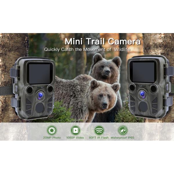 Mini Trail Camera Outdoor Hunting infrarrojo 4K HD 20MP 1080p