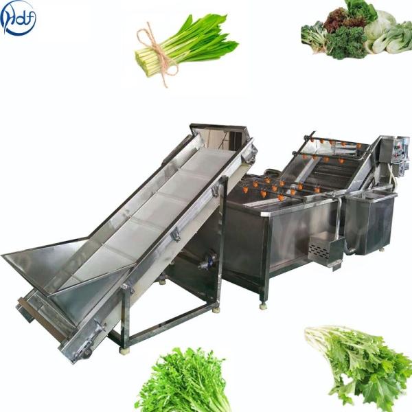 washing machine for salad vegetable  large vegetable cleaning line Multi-functional fruit and vegetable cleaning machine