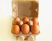 Populaires adaptés aux besoins du client 6 trous egg la chaîne de production de plateau d'oeufs de carton machine de boîte à oeufs