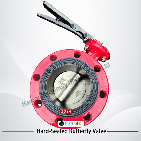 Precision-Machined Handle Ductile Iron Flanged Butterfly Valve D41X-16Q with EPDM Seal