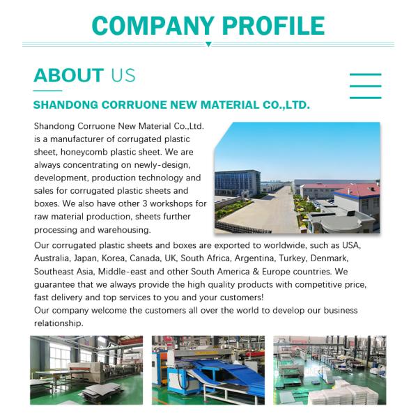 Пластиковая упаковка полипропилена рифленая кладет коробку в коробку оборачиваемости Коропласт пластиковую