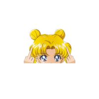 As etiquetas de Moon Anime Car do marinheiro cortaram a etiqueta Lenticular do movimento 3D para a parte superior do regaço