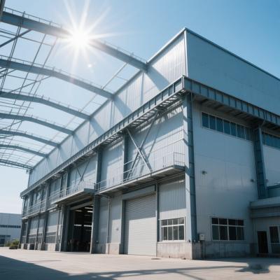 Custom Steel Frame Warehouse with Corrugated Panels