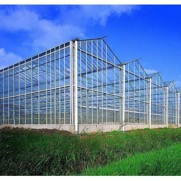 Cultivation Method Hydroponics US Regulated Glass Greenhouse for Vegetable/Flower/Fruit