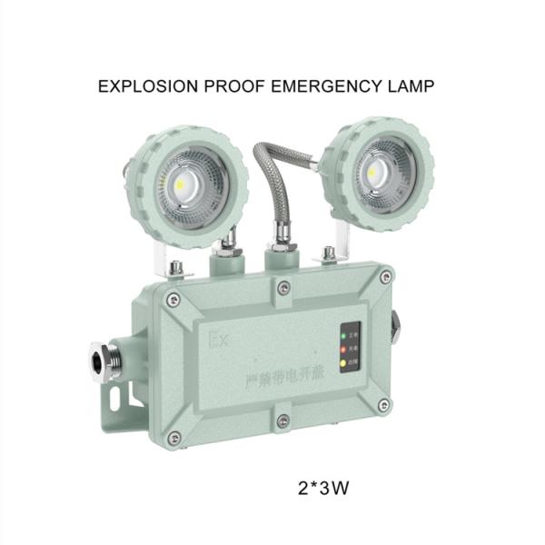 220V 2*3W Explosion Proof Emergency Lights Double Head  Atex Ex Lighting Fixtures