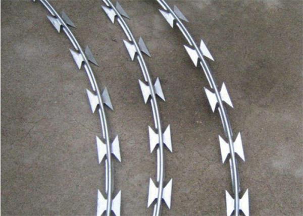 Blade Thorn Galvanzied Prison Razor Wire Fence 2.5mm Razor Wire BTO 22