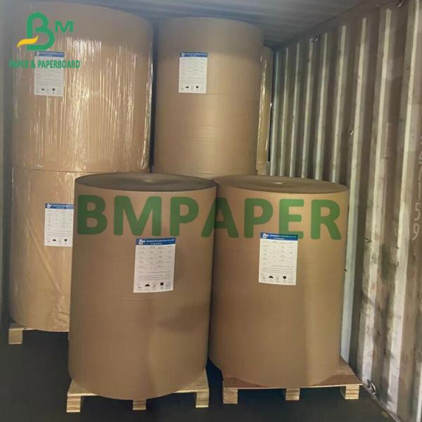 Biodegradable Kraft Cup Paper Roll Brown Bowl Paper 210g 230g 250g 280g 300g 350g