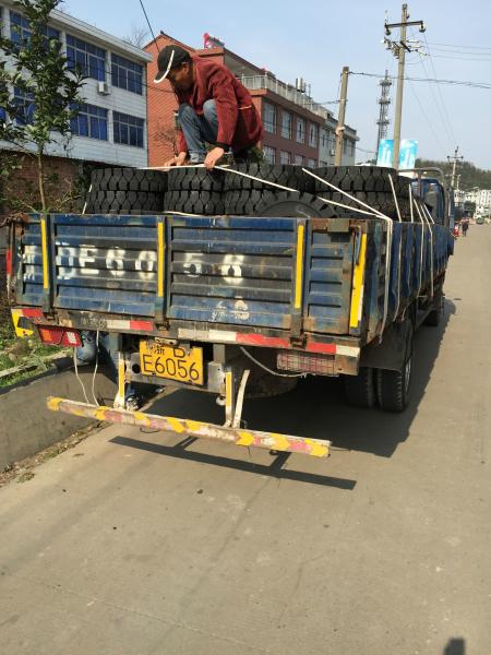 8.25-12 8.25-15 8.25-16 8.25-20 solid forklift tires  28*9-15 18*7-8 21*8-9 23*9-10 solid forklift tires