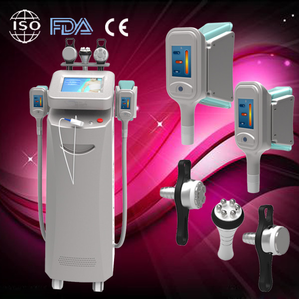 5 handle Best whole body slimming!! latest cryolipolysis machine