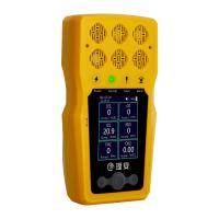 Détecteur de gaz portable à main Co O2 H2S LEL Multi-Gas Analyzer