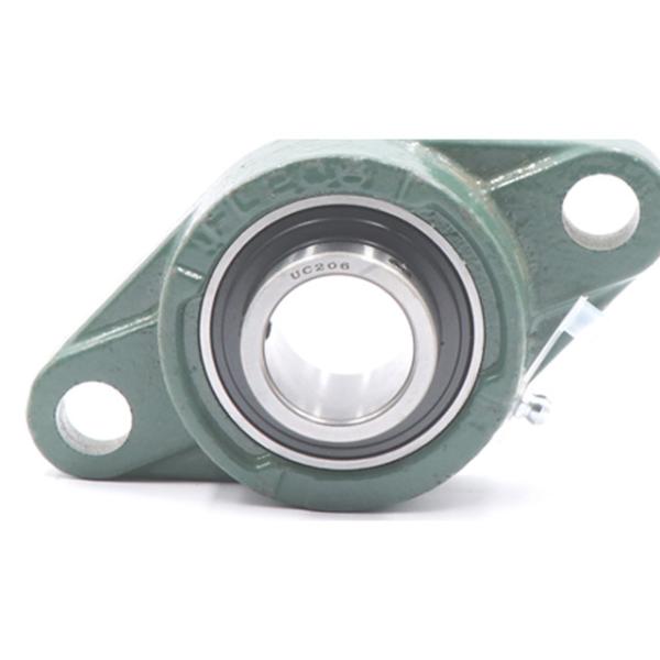 P6 GCR15 Pillow Block Ball Bearings Roller UCFL 205 206 207