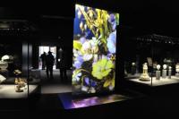 Tecnologia holográfica transparente durável do holograma do filme 3D da projeção traseira