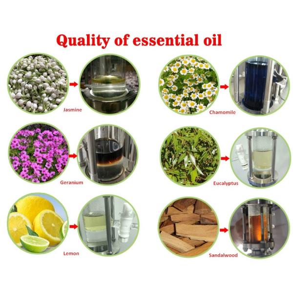 98%-100% Stainless Steel Color Rosemary Cinnamon Olive Leaf Oil Extract Mint Cypress Rose Flower Essential Oil Distiller Machine
