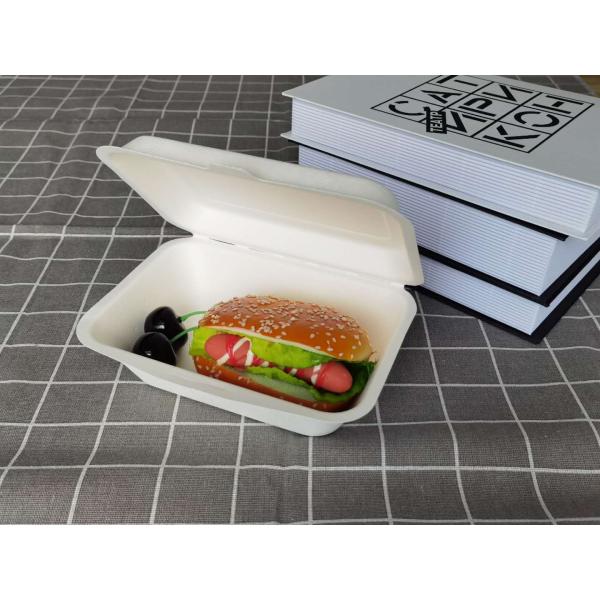 Eco Friendly Bagasse Clamshell Containers 271x182x45mm