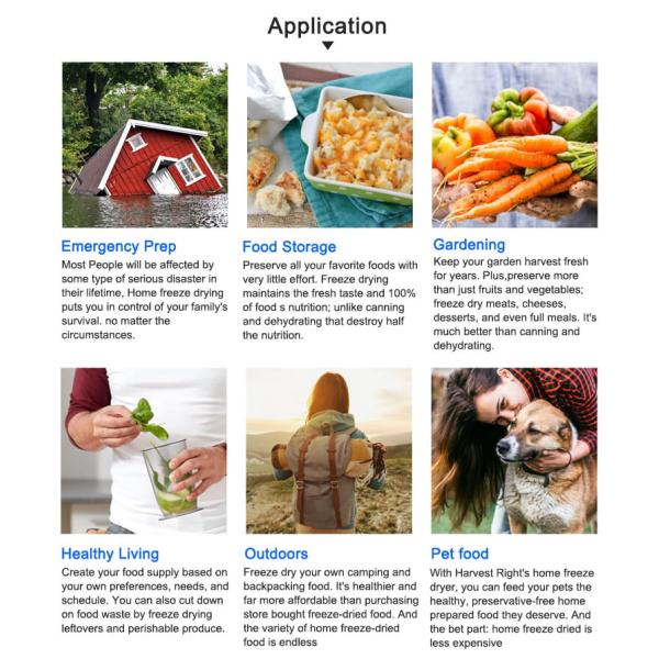 Toption Freeze Drying Equipment 1000W Freeze Dry Machine For Home