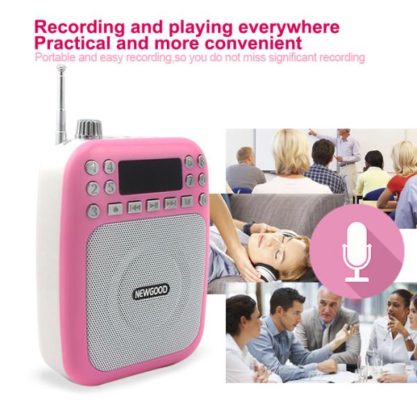 Bluetooth mp3 music player with voice amplifer,voice recorder and FM radio function