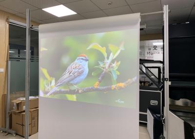 folha holográfica transparente de 1,52 x 30 medidores para a projeção traseira no vidro