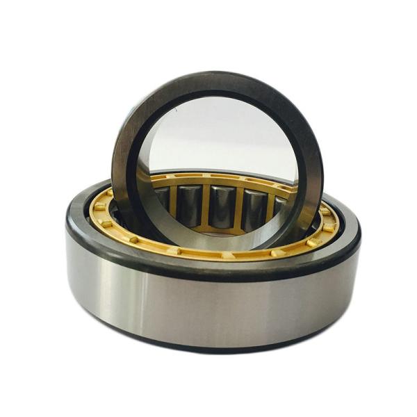 NJ1028 ECM/C3 Long Life Agricultural Bearing NJ Series