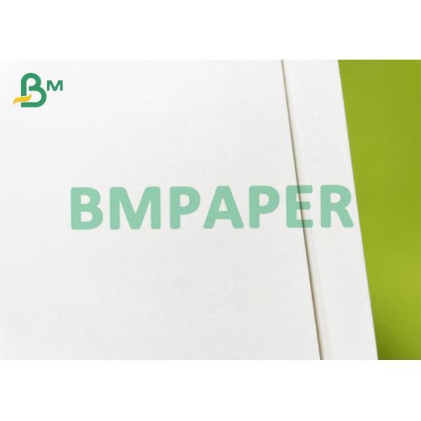 400 x 550mm Food Grade Absorbent Paper For Blotting Applications
