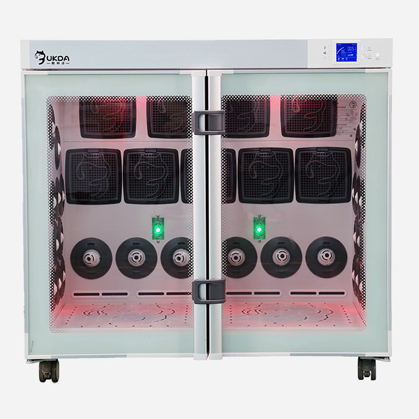 Intelligent Double Door Chargable 110V 220V Pet Dryer Machine