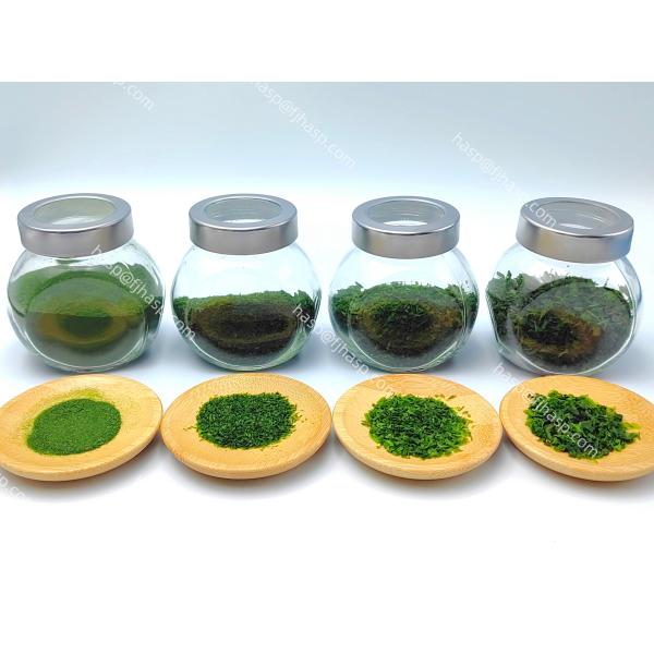 Umami Flavor Green Aonori Powdered Seaweed with Smooth Fine Powder Texture
