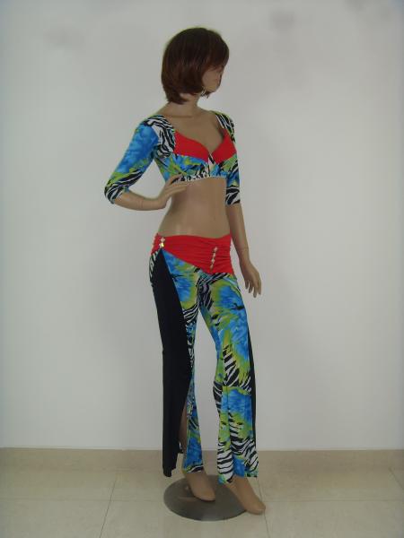 Sexy Sweetheart Neckline Tops Floor Length Tall Dress Pants Adult Belly Dancer Costume