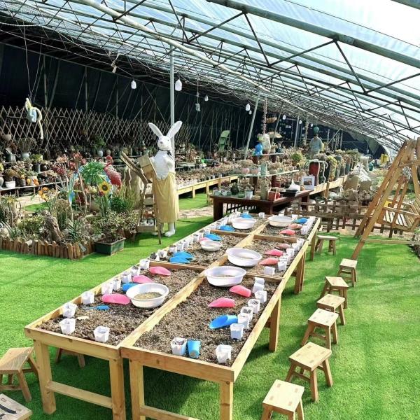 US 20/Square Meter Hydroponics Sunlight Greenhouse for Vegetable Strawberry Flower