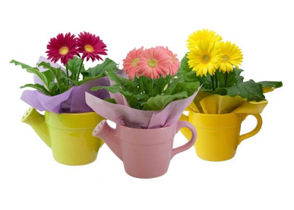 Solid Color Glazed Ceramic Planters Can Shaped Flower Pot For Indoor / Outdoor