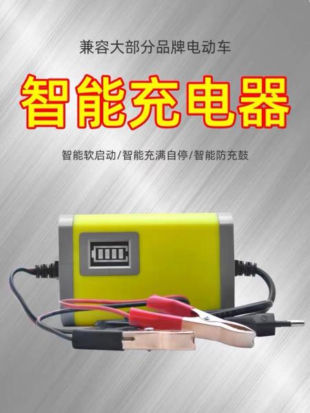 Gooa quality smart 12V 8A 24V 4A Car Motorcycle Battery Charger Pulse Repair Agm Gel Wet