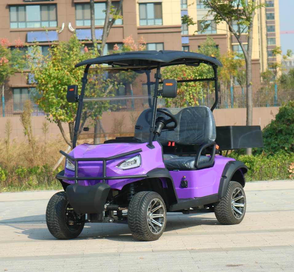 Mini Luxury Electric Utility 2 Seater Golf Cart with Cargo Box