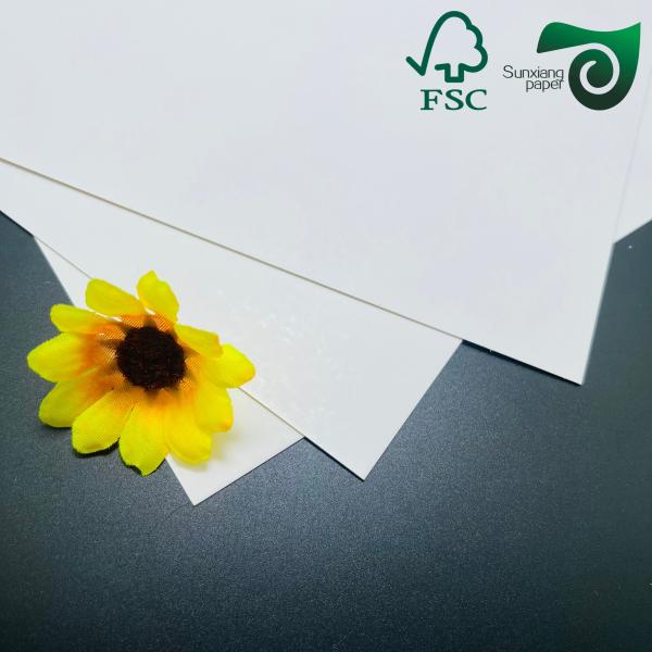 FSC 215gsm 350gsm One Side Coated Food Grade Bleached Cardboard 770mm 1100mm