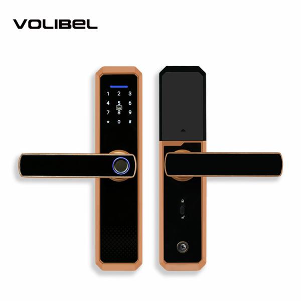 Mirror Panel Fingerprint Smart Door Locks 6V Passcode House Lock