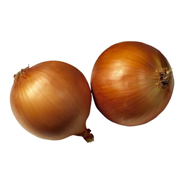 New arrival fresh onions 2023 crop red onion and yellow vegetable supply from China onion factory