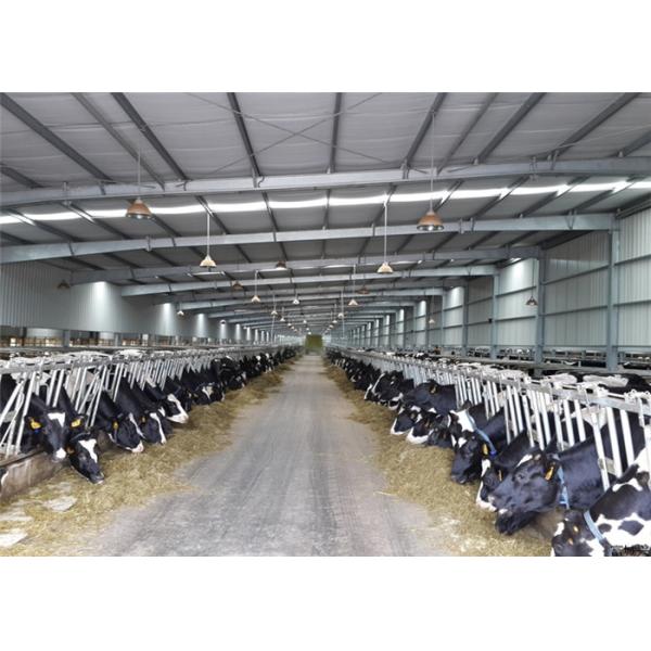 Estrutura comercial durável da vertente do aço, construção agrícola galvanizada