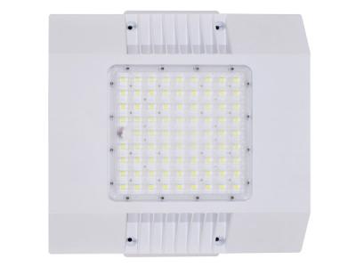 Explosion-proof 100W LED Canopy Lights for Gas Station