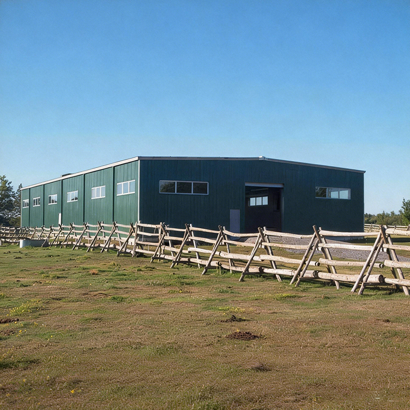Customizable Agricultural Steel Frame Building for Crops Machinery / Livestock