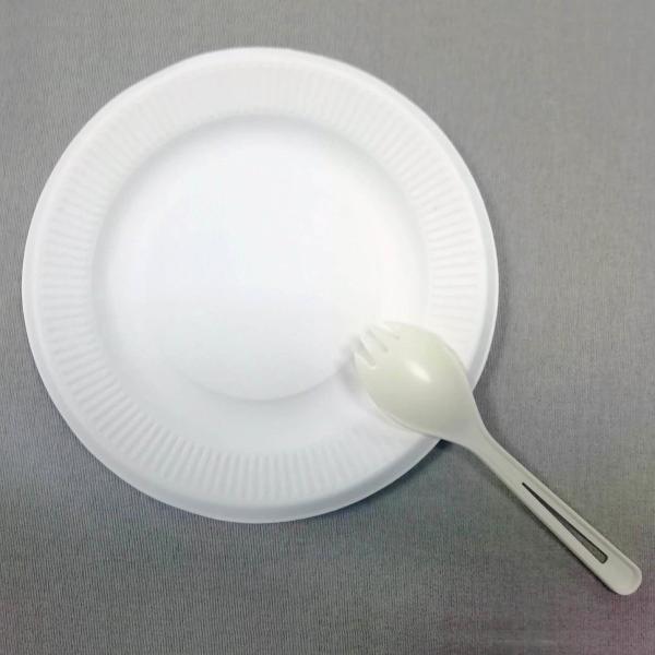 5 inch sugarcane compostable plates Natural plant fibers Plate, eu standard food dish biodegradable party plate