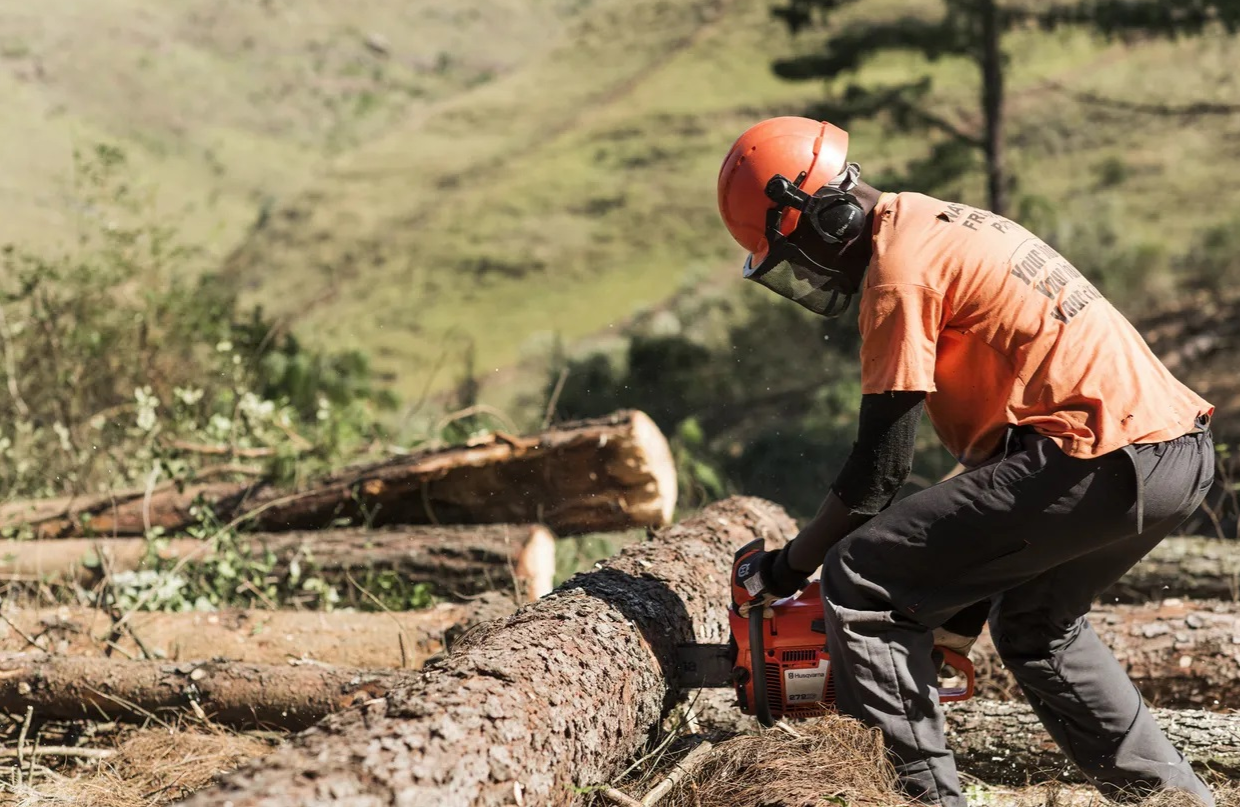 Husqvarna 272XP Chainsaw 72.2cc 3.6kW 24 Inch Professional Gasoline Chain Saw Heavy Duty Forestry Logging Wood Cutting Machine Motosierra