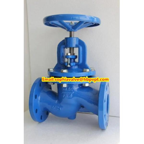 DN80 PN16 GG25 DIN globe valve