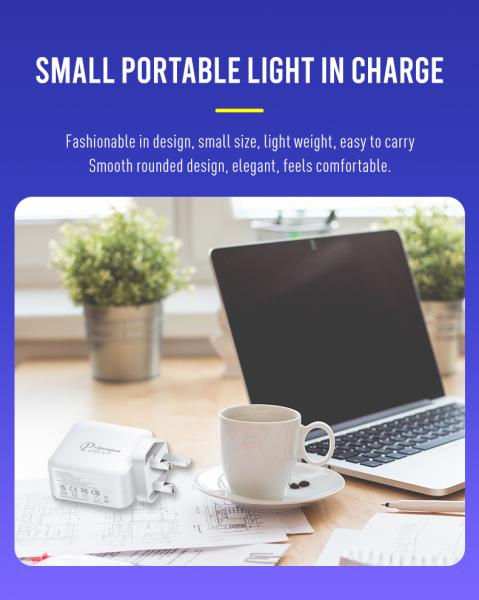 イギリス 2ピンUSB-C 充電器 双ポート 100W 高速型C 電源アダプタ ラップトップ,タブレット,スマートフォン