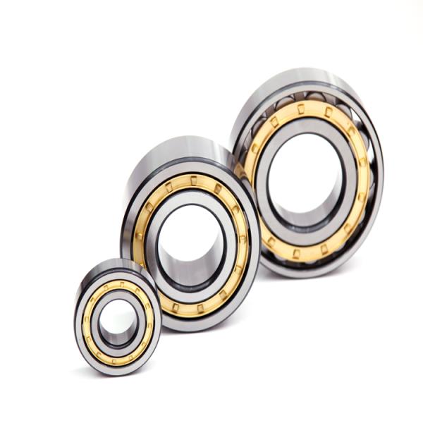 Сталь подшипника ролика NU203 цилиндра клетки открытых уплотнений латунная автоматическая рисуя