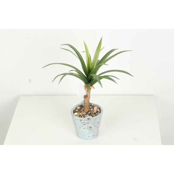 Greenery Flexible Glue Agave Artificial Bonsai Tree 22 CM 25 CM 33 CM