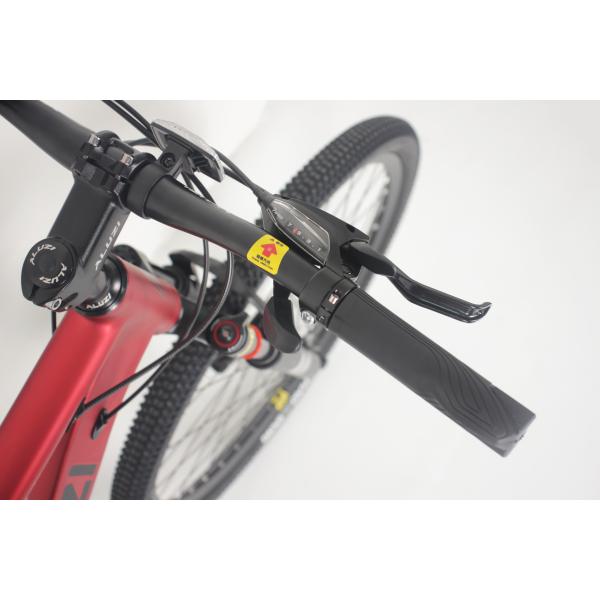 Professional Shimano Tourney Derailleur 21 Speed Mountain Bike For Mountain Adventure