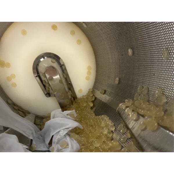 Small Independent Softgel Capsule Drying Tumble Dryer