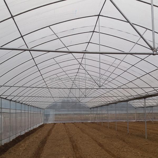 Film Cover Fiber Glass Greenhouse 8m Tunnel Width With Cooling Pad