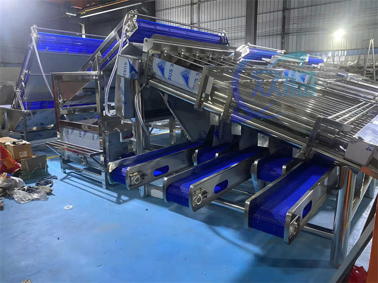 Fresh Prawn Washing Rolling Sorting Machine 1200KG Shrimp Grader Machine