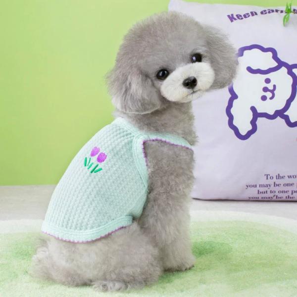 Ropa para gatos, impermeable, suave, ecológicamente certificada, para aliviar la presión