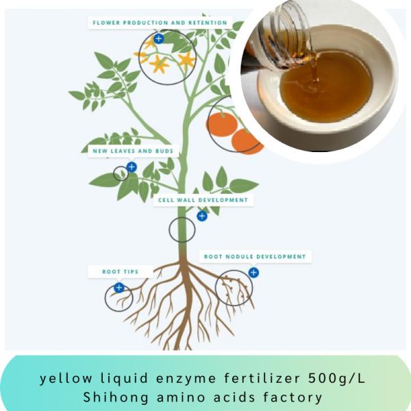 Peptides Foliar líquidos orgânicos Biostimulants do adubo do ácido aminado N8-0-0 da enzima para a planta